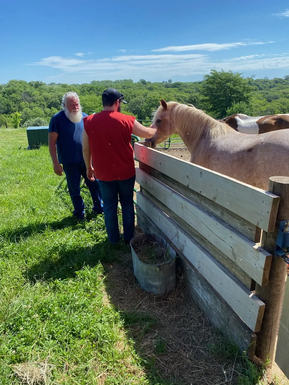 Xander, a client of AmeriServe, interacting with a horse at Wild Hearts 'N Horses ranch in Iowa, accompanied by the ranch employee.